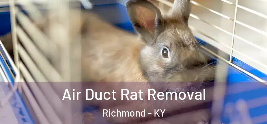 Air Duct Rat Removal Richmond - KY