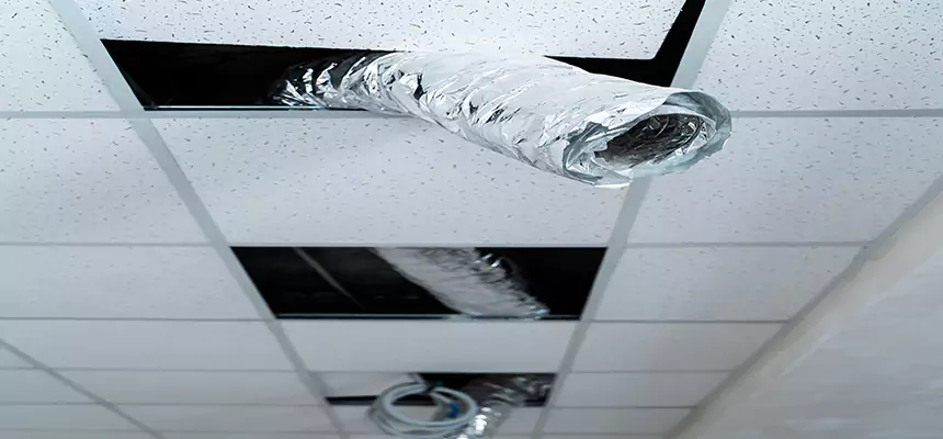 Our Air Duct Pet Hair Removal Services in Richmond, KY