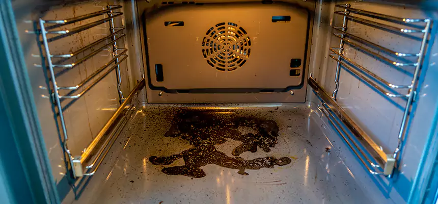 Our Dryer Vent Mold Cleaning Services in Richmond, KY