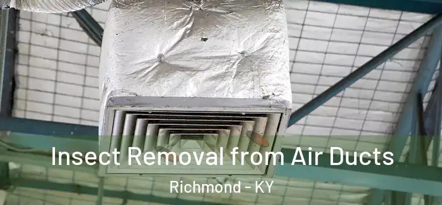  Insect Removal from Air Ducts Richmond - KY
