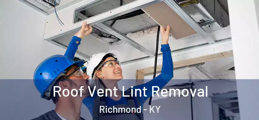  Roof Vent Lint Removal Richmond - KY