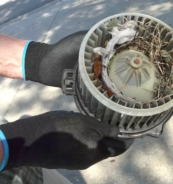 About Air Duct Mice Removal in Richmond, KY