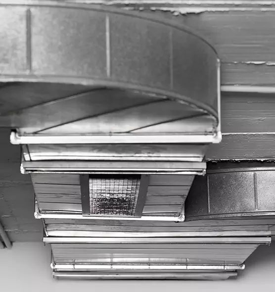 Professional Air Duct Pet Hair Removal in Richmond, KY